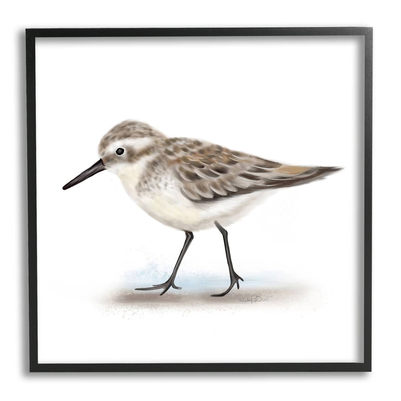 Stupell Industries Nautical Sandpiper Bird on Sand Speckled Feathers in Black Frame Wall Art